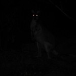 DSCF7114 DSCF7114