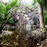 Cedar Creek Falls Airlie Beach Cedar Creek Falls Airlie Beach