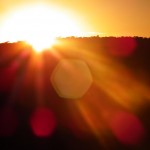 DSCF8423 DSCF8423