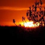 DSCF8687 DSCF8687